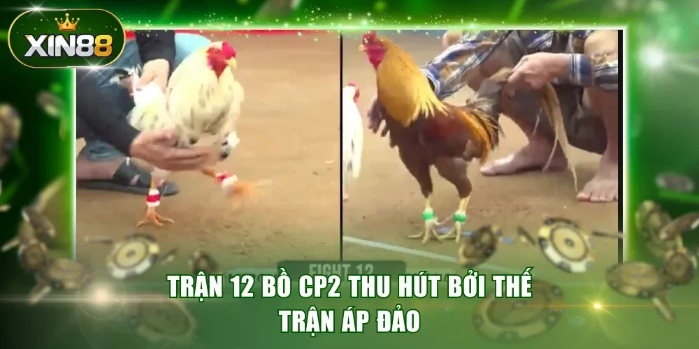 Trận 12 bồ CP2 thu hút bởi thế trận áp đảo
